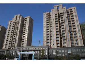 桐城市經(jīng)開區(qū)沖塘、姚塘住宅區(qū)工程（榮獲2013年“省標(biāo)準(zhǔn)化工地”稱號）
