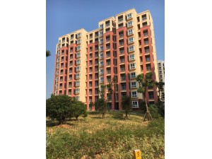 “省標(biāo)化工地”幸福春天15#、18#樓